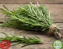 Load image into Gallery viewer, (91g / 3.2 Oz) Dried Rosemary Organic Natural Herb Leaf اكليل الجبل
