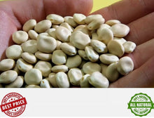 Load image into Gallery viewer, (91g/ 3.2 Oz) Bitter &amp; Sweet lupin - lupini beans lupine Lupinus Alba Seeds ترمس
