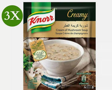 Load image into Gallery viewer, 3 Pack X Knorr Halal Soup Cream Of Mushroom Flavor (53 Gram)
