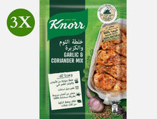 Load image into Gallery viewer, 3 Pack X Knorr Garlic &amp; Coriander Mix Spices for Cooking Purpose (37 gram)

