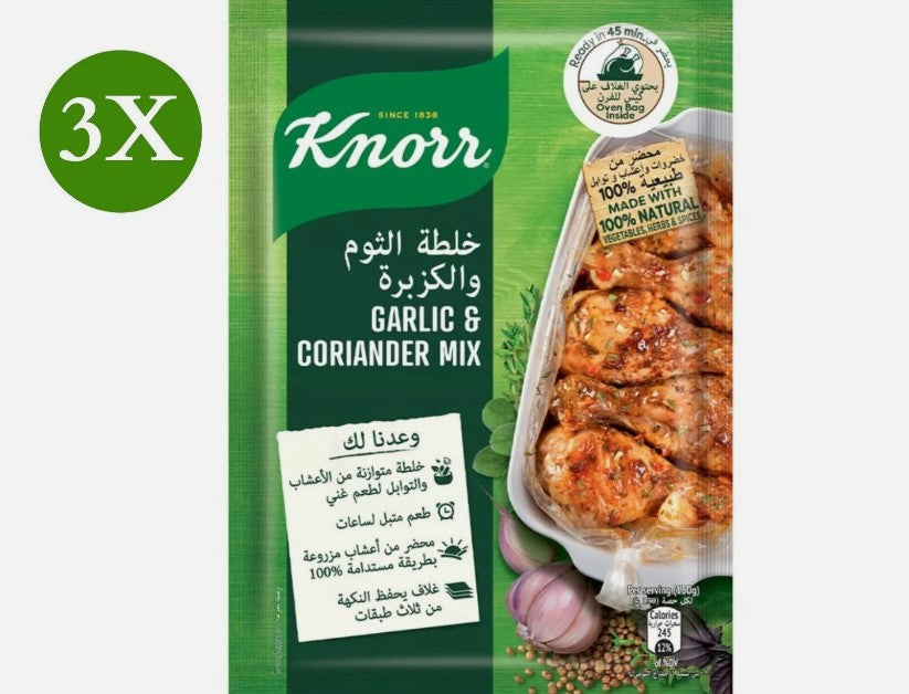 3 Pack X Knorr Garlic & Coriander Mix Spices for Cooking Purpose (37 gram)