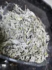Load image into Gallery viewer, (330 g/ 11.6 Oz) Bulk Loose White Sage Smudge Leaves ميرمية لبنانية
